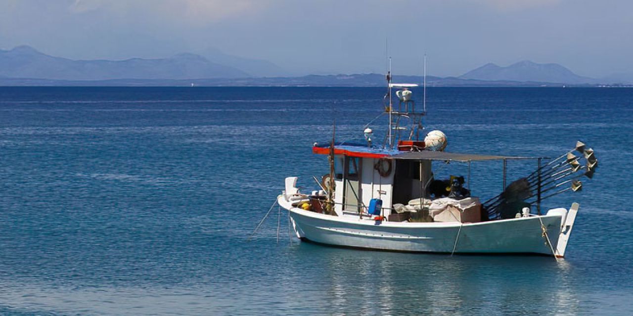 Άδειες Αλίευσης σε επαγγελματικά αλιευτικά σκάφη για το έτος 2022