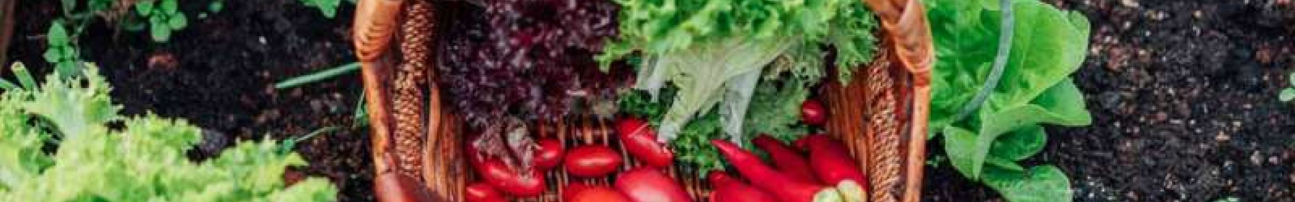 Πώς διατηρούμε φρέσκα τα λαχανικά για μεγαλύτερο χρονικό διάστημα