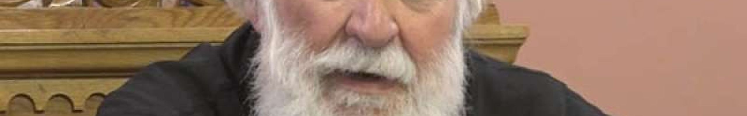 Πρωτοπρεσβύτερος Καθηγητής Γεώργιος Μεταλληνός
