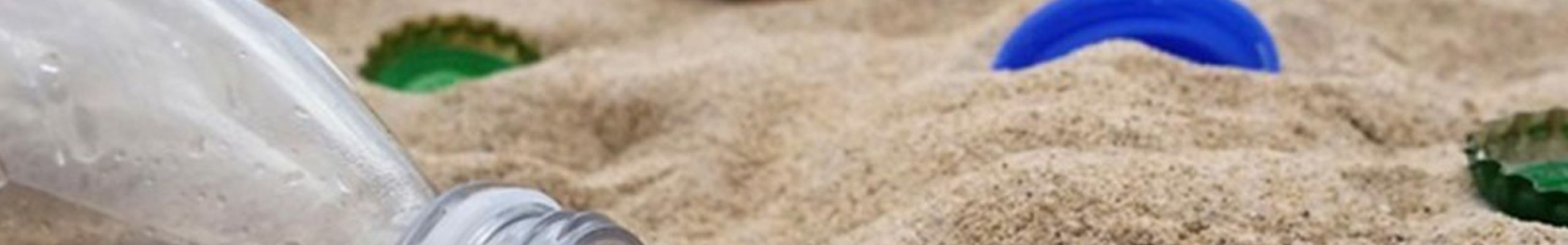 Δράση Εθελοντικού Καθαρισμού παραλίας «Άμμες»