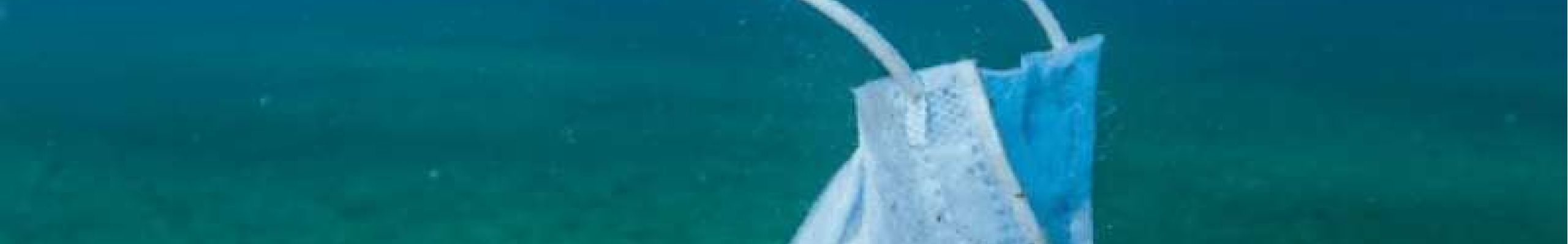 Ocean Photography Awards: Ο ιππόκαμπος με τη μάσκα – Έλληνας φωτογράφος στους φιναλίστ!