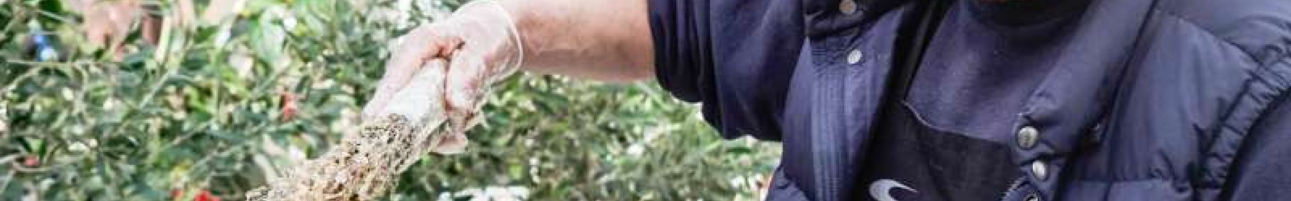 Τσικνίζουμε από νωρίς στην Πλατεία Καμπάνας [20.02.2020]