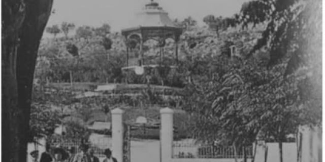 Αργοστόλι Νάπιερ: Αρχές 19ου αιώνα
