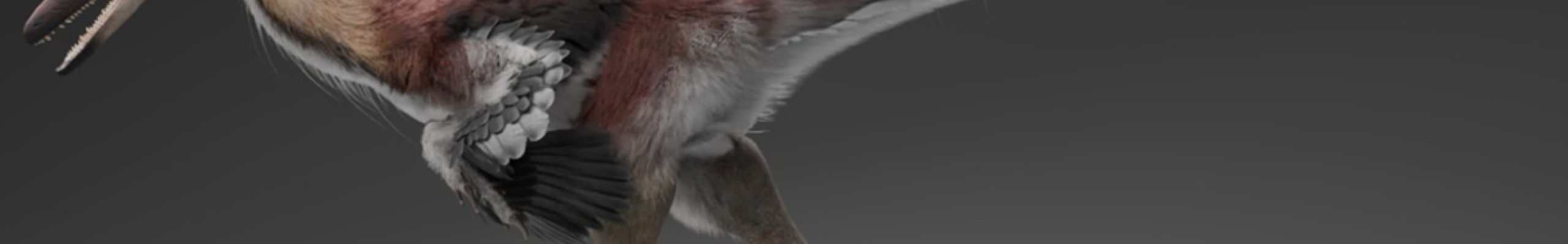 Ανακαλύφθηκε νέο είδος δεινοσαύρου που ζούσε πριν 70 εκατ. χρόνια έμοιαζε με αρπακτικό πουλί