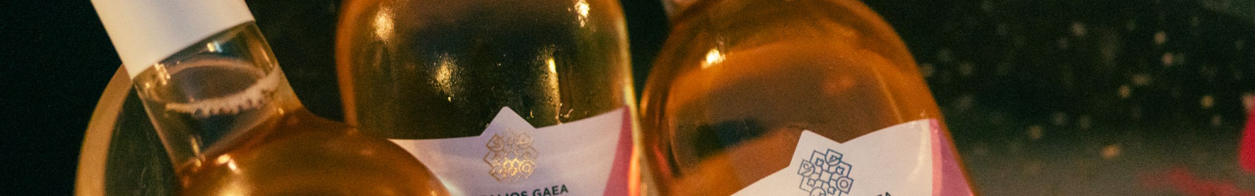Εορτασμός 40 χρόνων από τη ίδρυση του συνεταιρισμού Ρομπόλα Κεφαλονιάς [22.09.2022]