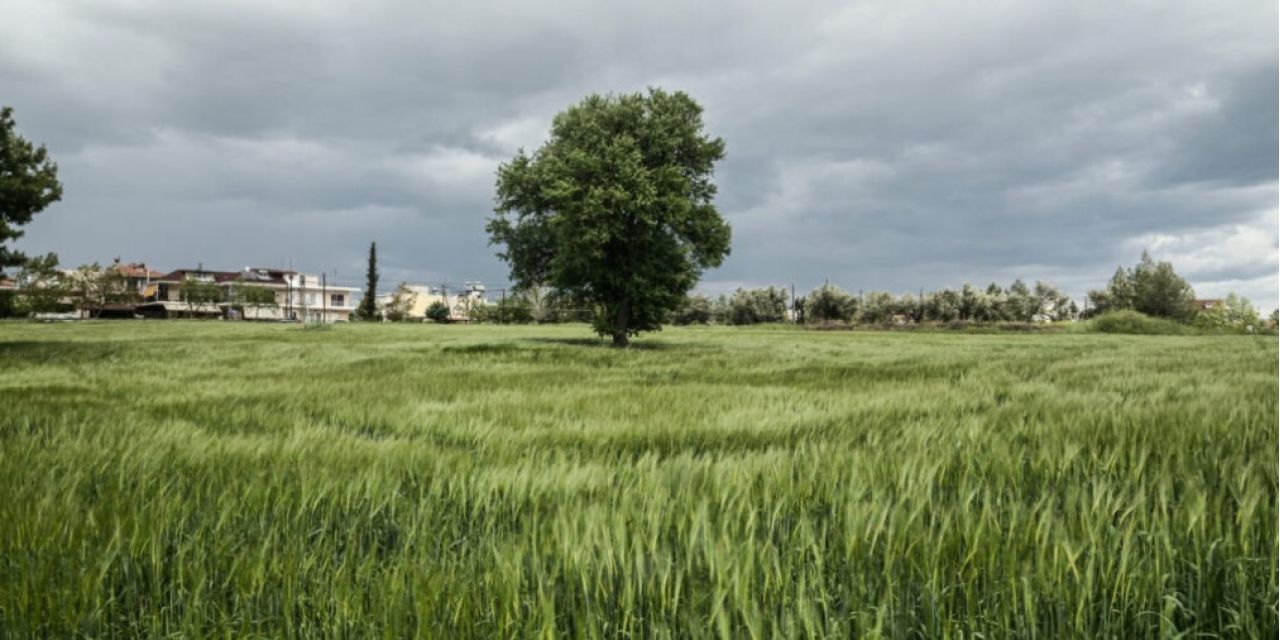 Τι καιρό θα κάνει το τριήμερο της Καθαράς Δευτέρας