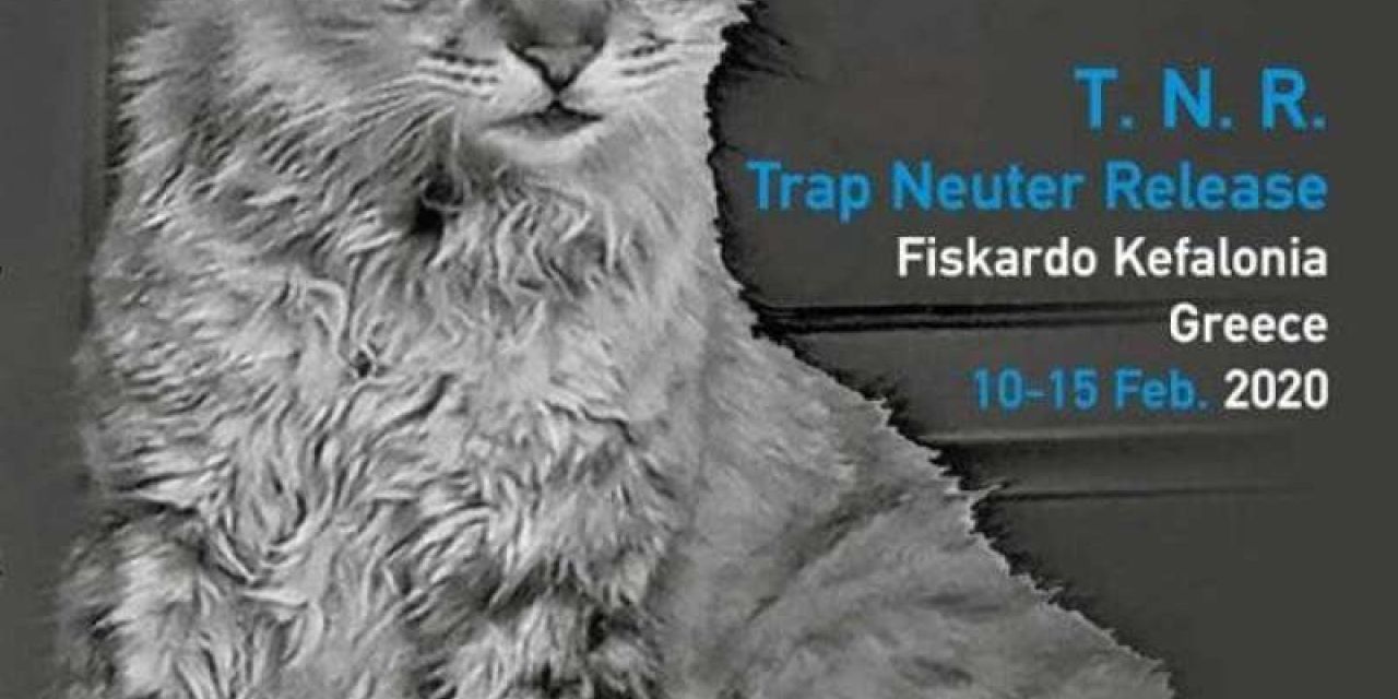 Πρόγραμμα Στείρωσης και Σήμανσης Αδέσποτων Ζώων