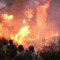 Σύλληψη στα πλαίσια του αυτοφώρου για πράξη εμπρησμού
