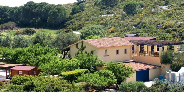 Το οινοποιείο Gentilini προσλαμβάνει