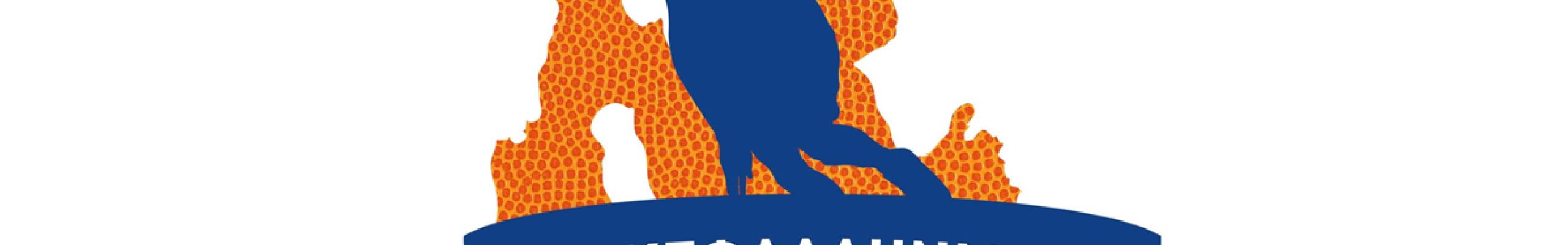 Πρωταθλητής Α2 ΕΣΚΑ-Η ο Κεφαλληνιακός, Μεγάλη νίκη επί του Πύρσου και επιστροφή στην κορυφή