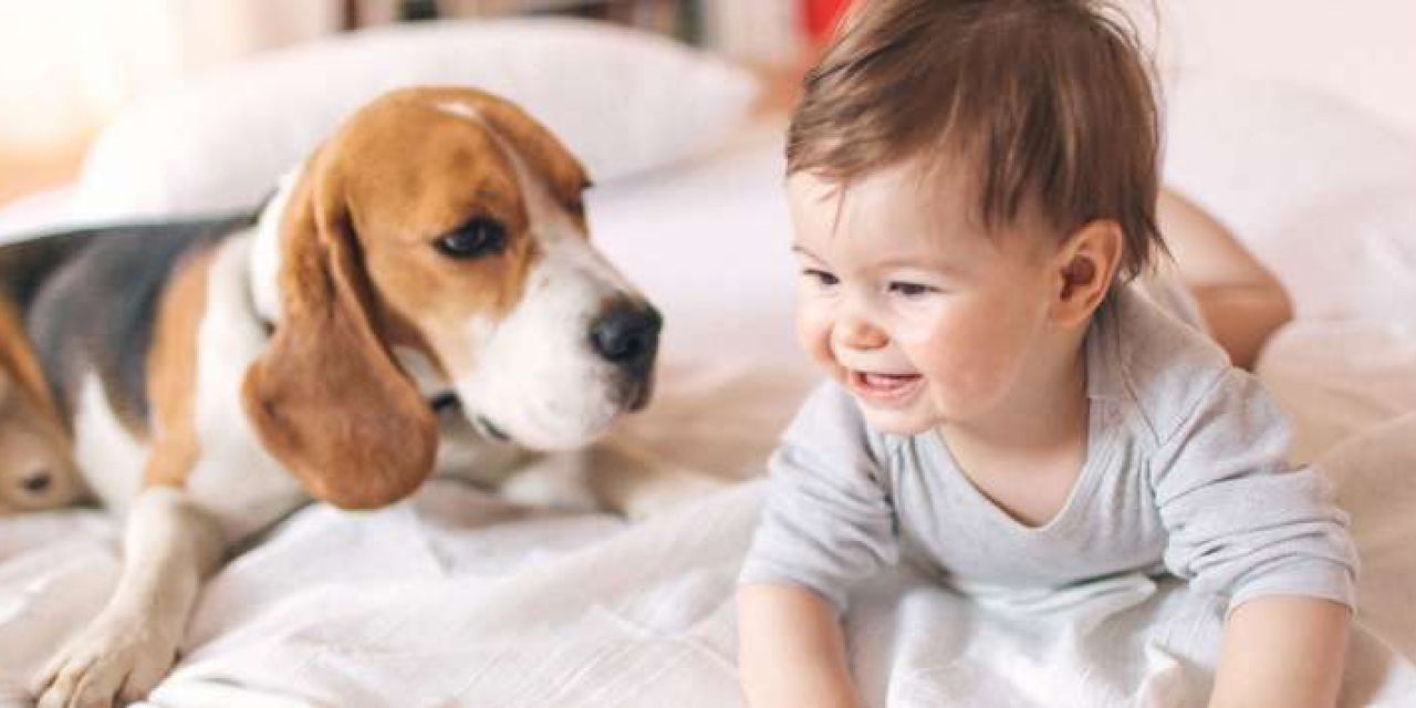 Σκύλος και μωρό – Οδηγός για μέλλοντες και νέους γονείς