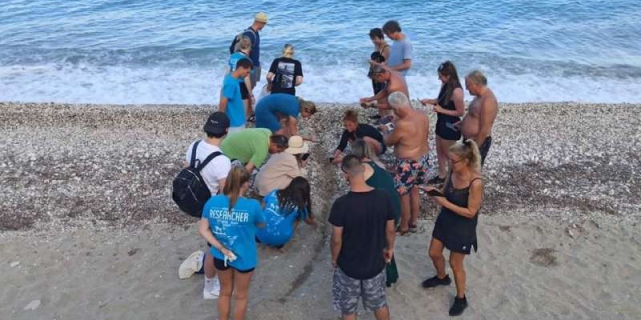 Μονοπάτι ζωής από εθελοντές για νεογέννητα Καρέτα Καρέτα στον Πόρο!
