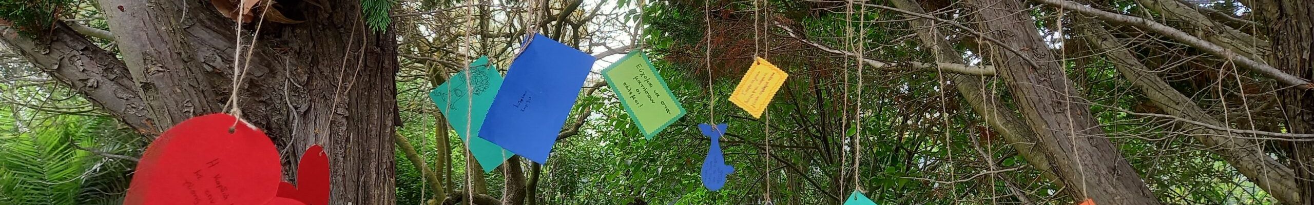 «Εμείς είμαστε η Φύση» – Ένα Δημιουργικό Εργαστήρι Περιβαλλοντικής Τέχνης από τη Δ.Δ.Ε. Κεφαλληνίας