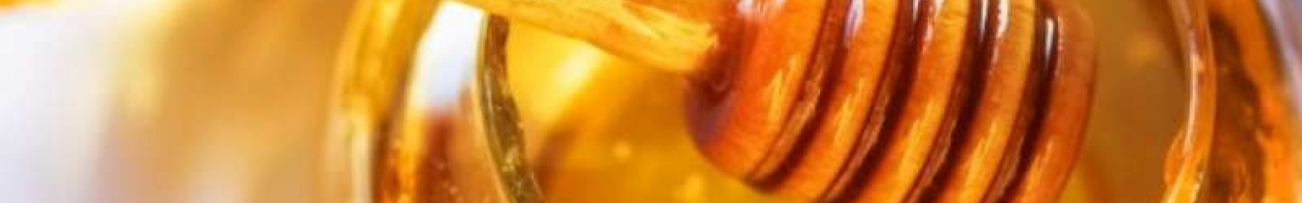 Τα μυστικά του μελισσιού που θα σας θεραπεύσουν από κάθε ασθένεια!