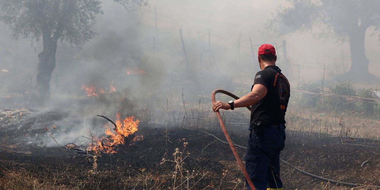 Κεφαλονιά – Ιθάκη: Πρόστιμα από 750 έως 1.900 ευρώ για παραβάσεις πυροπροστασίας