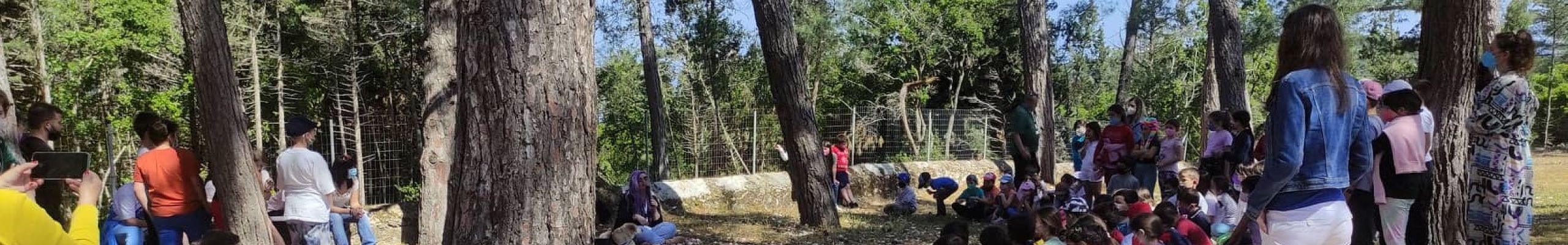 Ολοκλήρωση δράσης ευαισθητοποίησης για την προστασία των ζώων