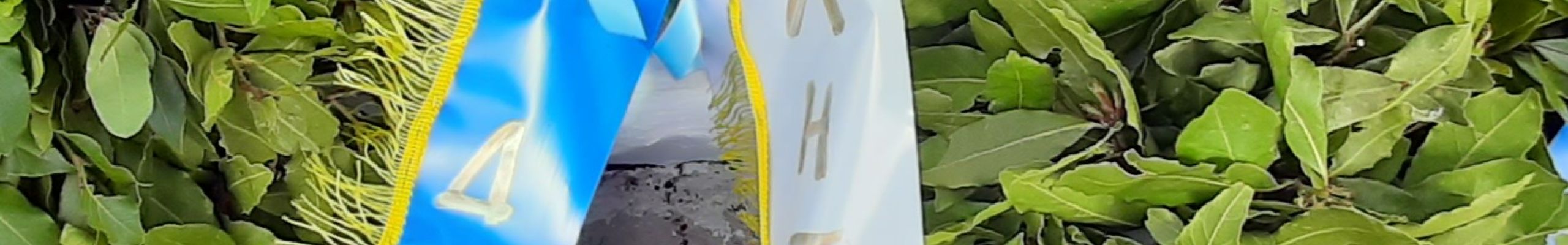 Στο Μεσολόγγι παρευρέθηκε ο Δήμαρχος Ληξουρίου για τις εορταστικές εκδηλώσεις