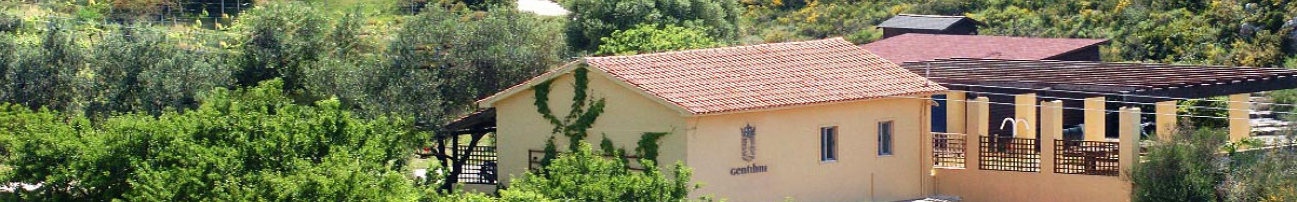 Το οινοποιείο Gentilini προσλαμβάνει