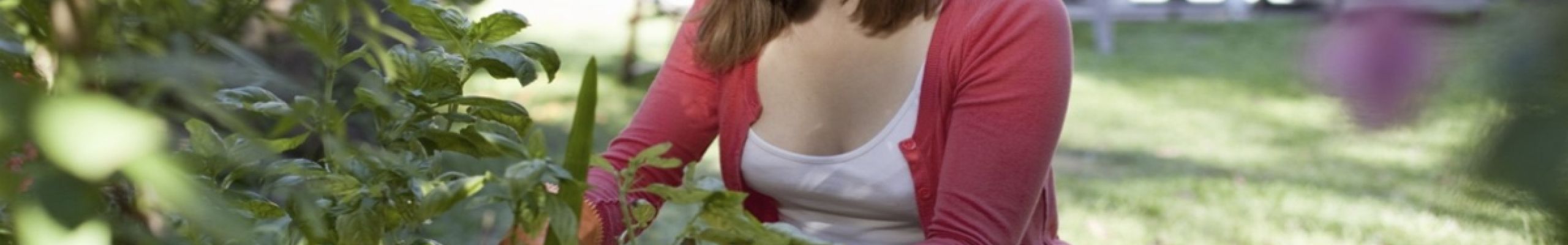 Τα 3 πιο συνηθισμένα προβλήματα των φυτών σας το καλοκαίρι και πώς να τα αντιμετωπίσετε