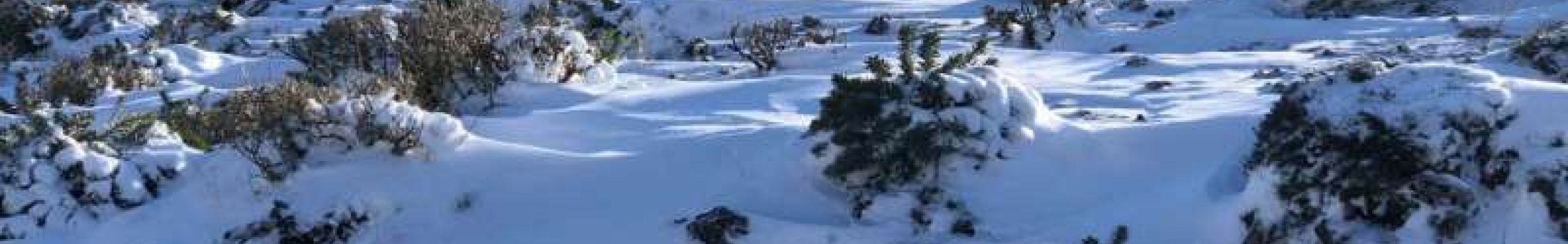 Χιονισμένη η κορυφή του Αίνου