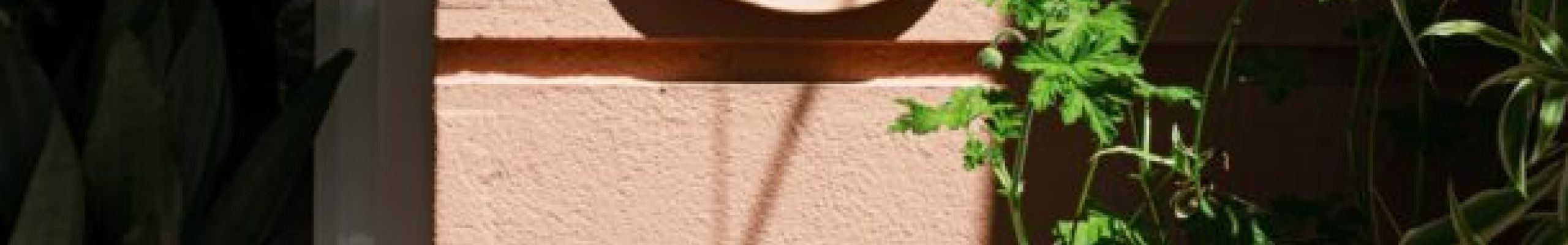Κεφτέδες μοσχαρίσιοι με μαϊντανό και σάλτσα από αμύγδαλα και φουντούκια