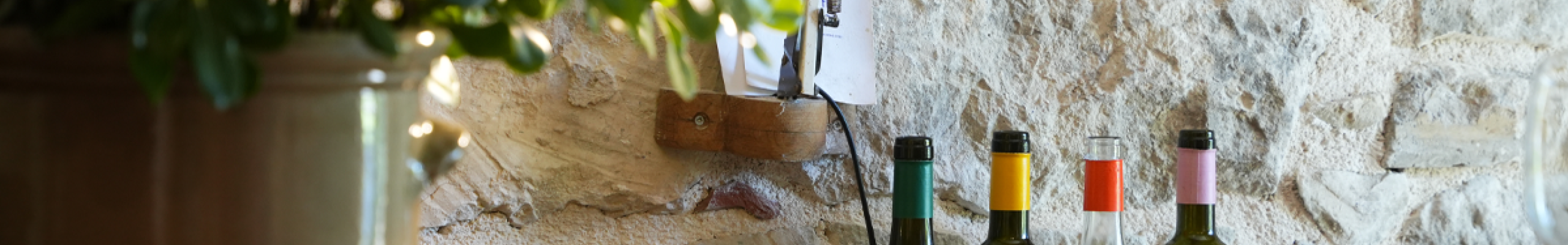 Πανελλαδικός θεσμός «Ανοιχτές Πόρτες» από τα Κτήματα Χαριτάτου και Σκλάβου  [23.05.2026]