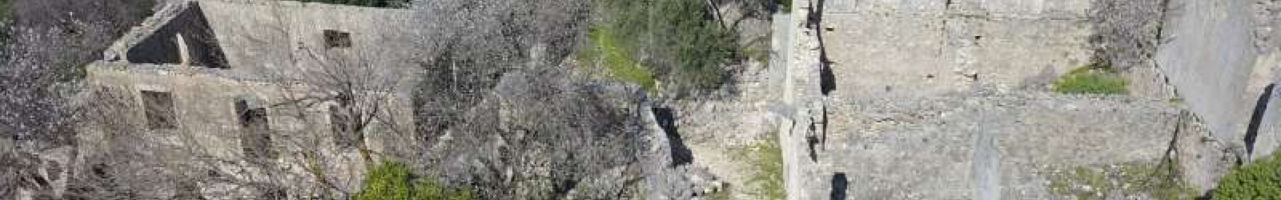 Κόψιμο της βασιλόπιτας και προβολή ντοκιμαντέρ στην Αγία Ευφημία