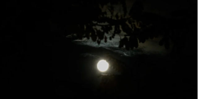 «Φεγγάρι του Κάστορα»: Απόψε η προτελευταία πανσέληνος του 2023