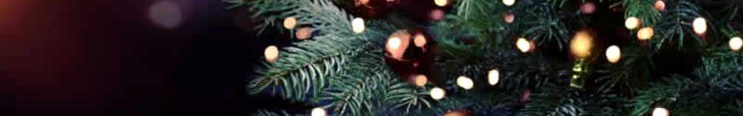 Ανάβουν τα φώτα του Χριστουγεννιάτικου δέντρου στην Σκάλα