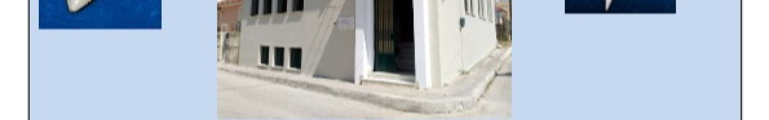 Πετρίτσειος Βιβλιοθήκη Ληξουρίου «Ο Δαμοδός»