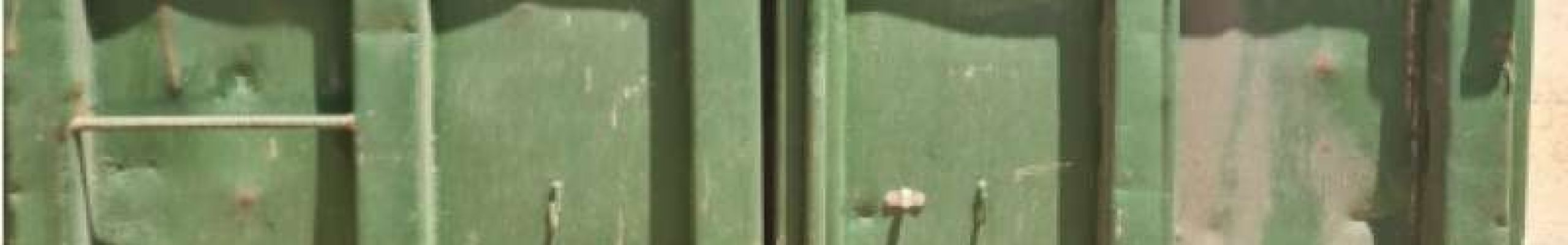 Ευχαριστήριο μήνυμα για τις δράσεις που πραγματοποιήθηκαν στην Κεφαλονιά το τελευταίο τριήμερο ενόψει της Παγκόσμιας Ημέρας Περιβάλλοντος και της Παγκόσμιας ημέρας Ωκεανών!!