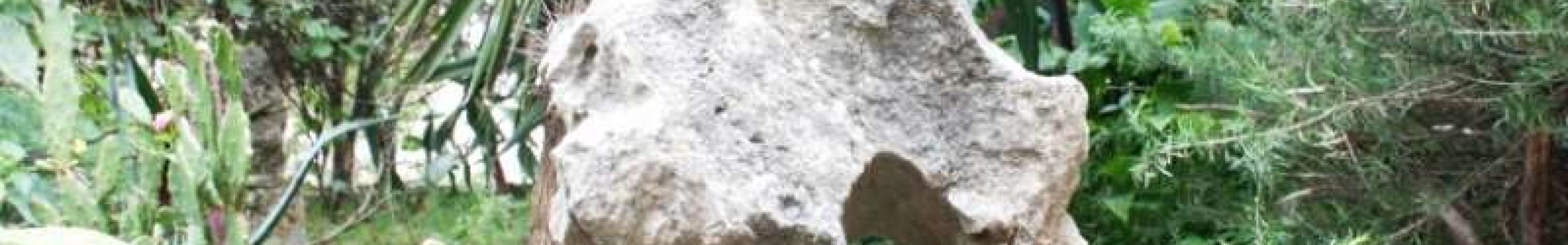 Έκθεση με βιομορφικά γλυπτά στον κήπο της σύγχρονης πινακοθήκης VILLA Ροδόπη στο Αργοστόλι