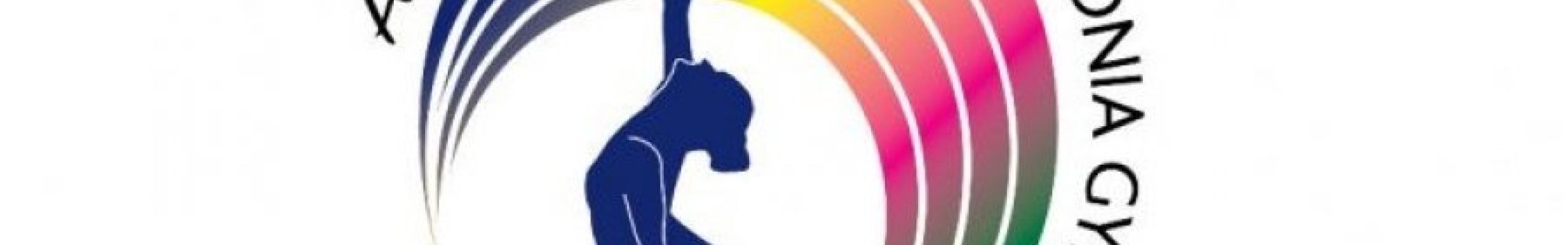 Ανακοίνωση για την έναρξη του Kefalonia Gym Festival “Anna Pollatou”