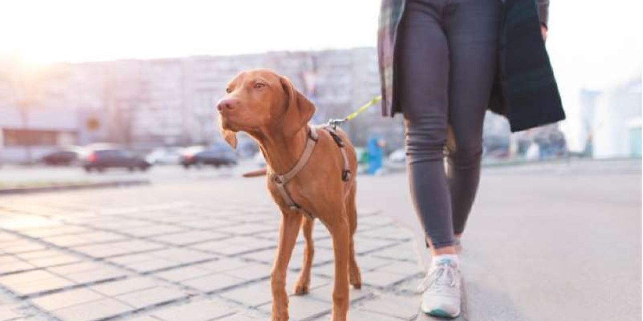 Οι αλλαγές που θα φέρουν στη ζωή σου 30 λεπτά περπάτημα