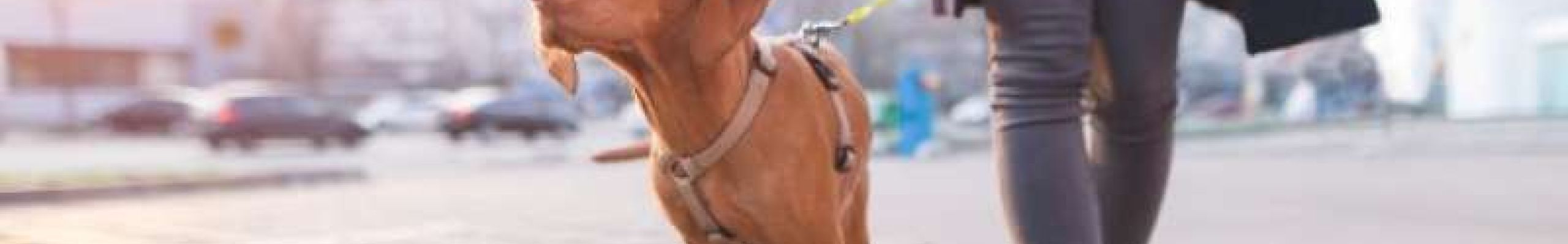 Οι αλλαγές που θα φέρουν στη ζωή σου 30 λεπτά περπάτημα