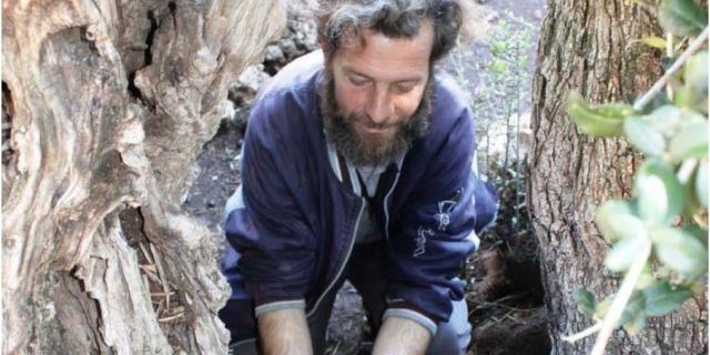 Πρωτοχρονιά στην Κεφαλονιά: Όταν τα έθιμα καθόριζαν την οικιακή οικονομία