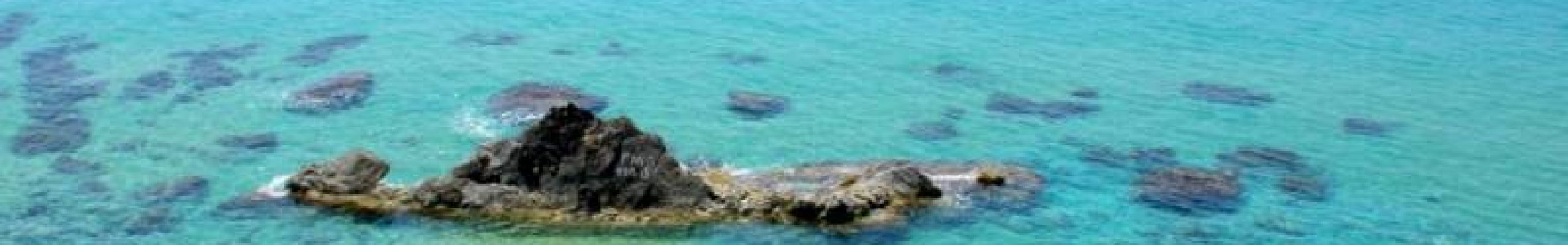 Σπαρτιά