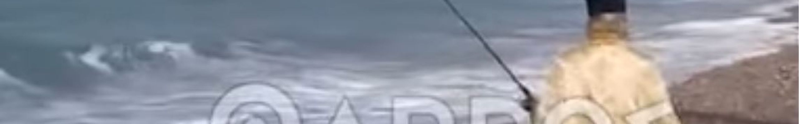 ΒΙΝΤΕΟ: Ιερέας έριξε τον Σταυρό μέσα στη θάλασσα με… καλάμι ψαρέματος