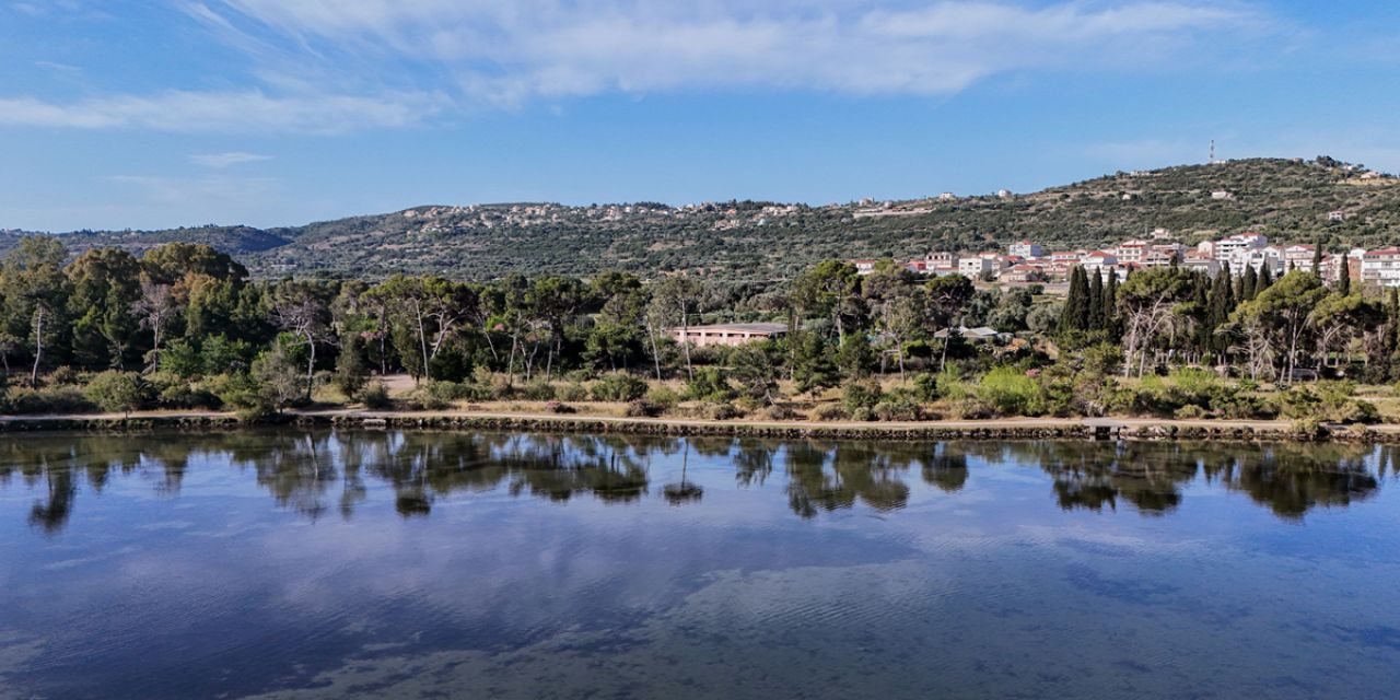 Καθαρισμός της Λιμνοθάλασσας Κουτάβου