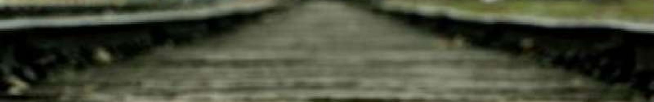 2 Νοεμβρίου: Διεθνής Ημέρα Μνήμης για τα Θύματα του Ολοκαυτώματος
