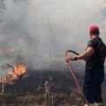 Κεφαλονιά – Ιθάκη: Πρόστιμα από 750 έως 1.900 ευρώ για παραβάσεις πυροπροστασίας