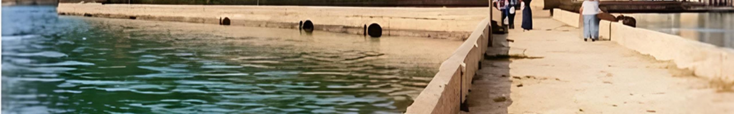 ΡΕΤΡΟ: Μια σπάνια φωτογραφία από το Αργοστόλι του 1920