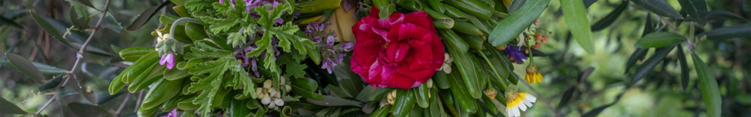 Πρωτομαγιά στα Φωκάτα [01.05.2026]