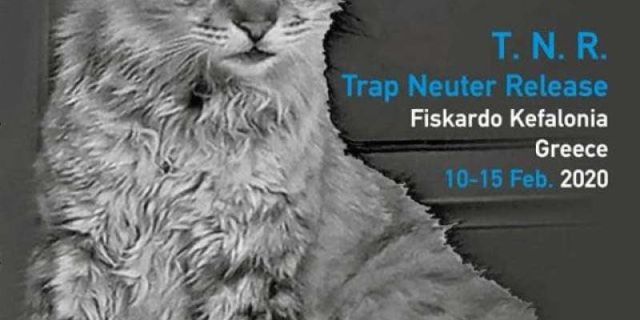 Πρόγραμμα Στείρωσης και Σήμανσης Αδέσποτων Ζώων