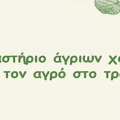 Εργαστήριο άγριων χόρτων «Από τον αγρό στο τραπέζι»