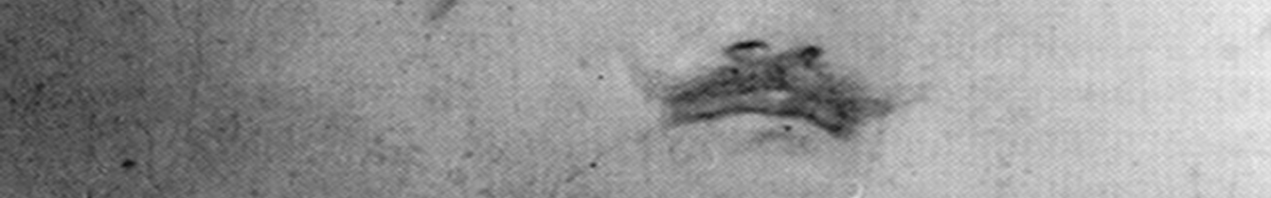 Ο Δήμος Σάμης τιμά τη μνήμη του Μαρίνου Αντύπα