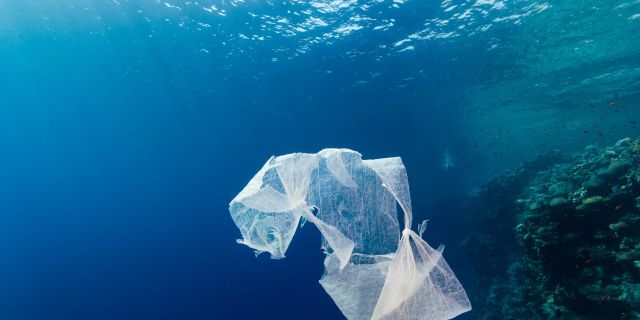 Παγκόσμια Ημέρα κατά της Πλαστικής Σακούλας