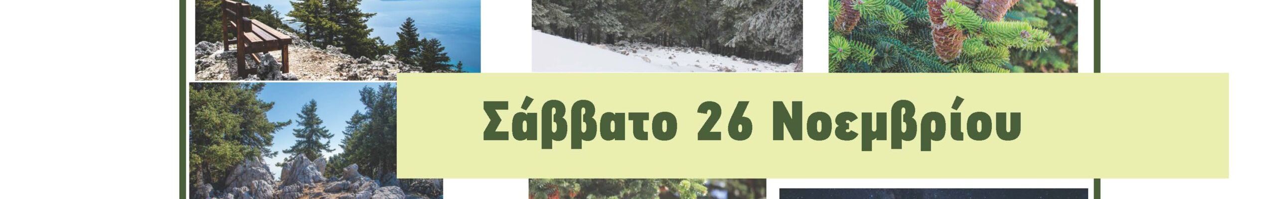 Ημερίδα για τα 60 χρόνια από την ίδρυση του Εθνικού Δρυμού Αίνου