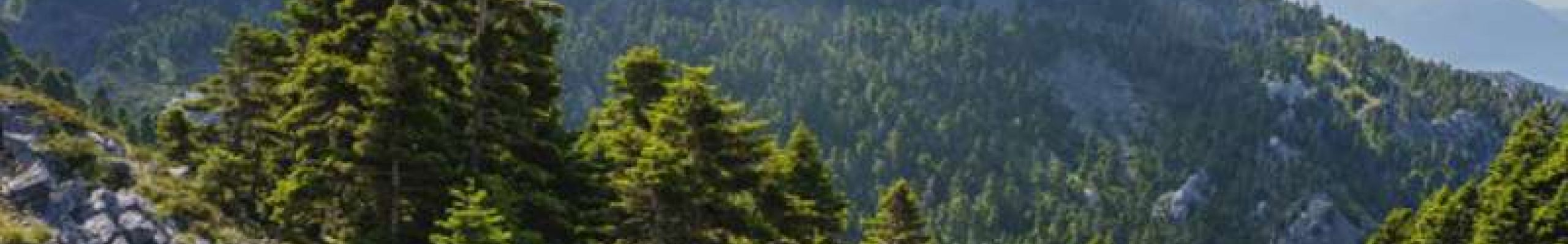 11 Δεκεμβρίου: Παγκόσμια Ημέρα Βουνού