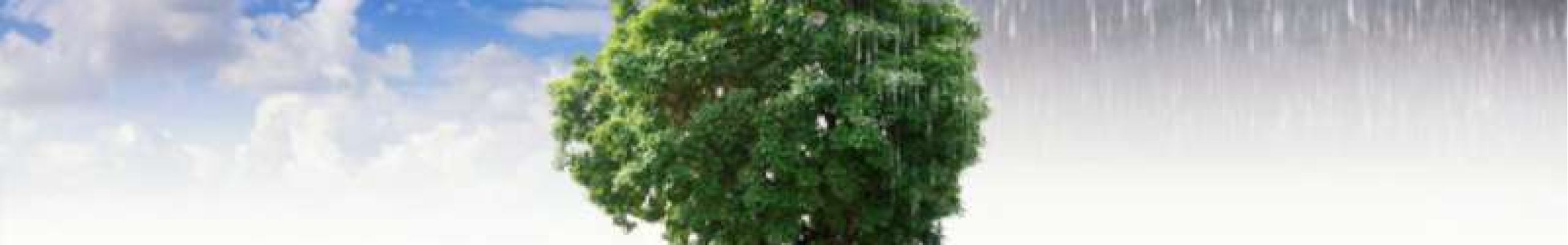 Πώς η κλιματική αλλαγή επηρεάζει την οικονομική ανισότητα;